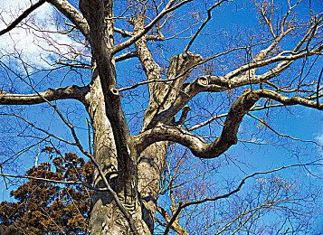 《重生边缘》国服定档9月8日 游戏预约开启